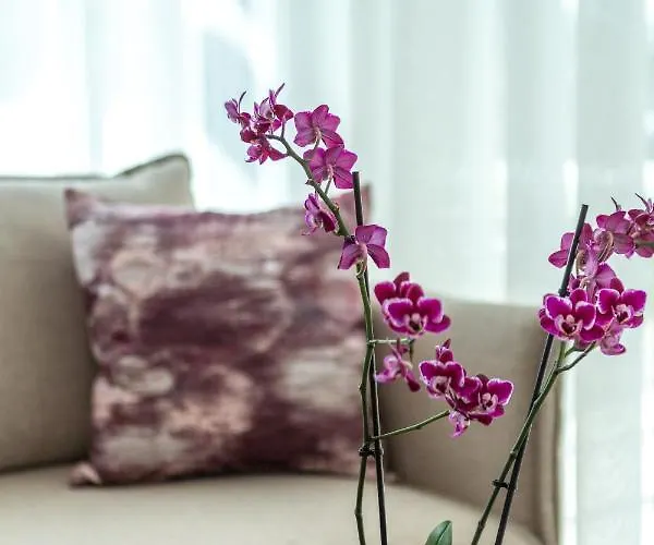 別荘 Gaia Maisonettes